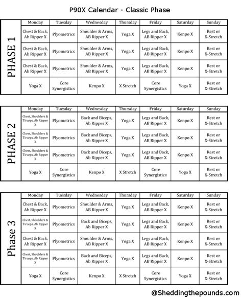 P90x workout sheets-pdf - gemslasopa