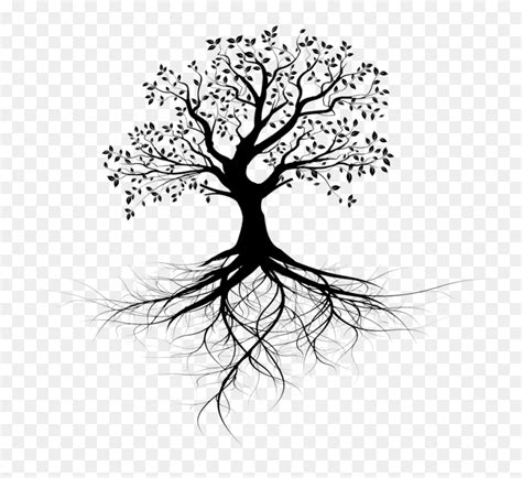 Tree With Roots Drawing - Free download 63 best quality tree with roots drawing at getdrawings ...