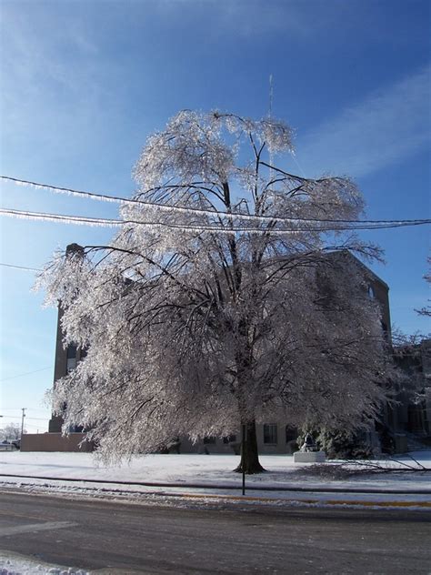 Dixon, KY : Winter in Dixon photo, picture, image (Kentucky) at city-data.com