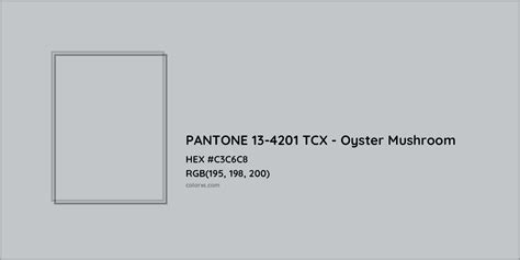 PANTONE 13-4201 TCX - Oyster Mushroom Complementary or Opposite Color ...