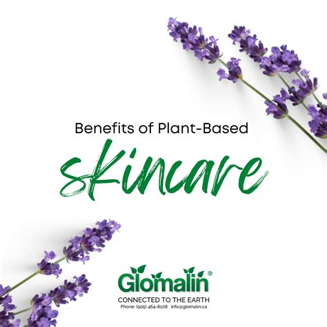 Benefits of Plant Based Skincare – Glomalin