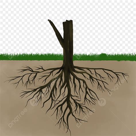 Roots Of Plants Clipart