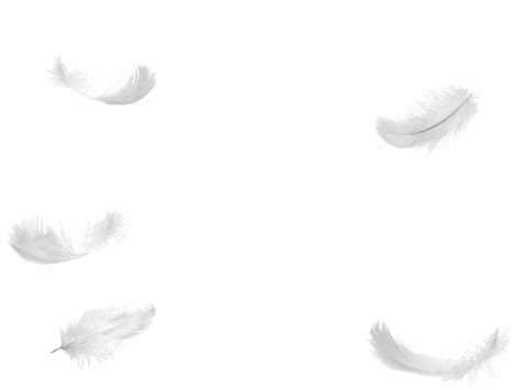 Feather Wallpaper, White Feathers, Image Resolution, Clip Art, Png ...