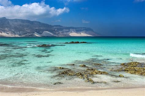 10 Days In Socotra: The Most Alien looking Place on Earth | Top 10 beaches, Beaches in the world ...