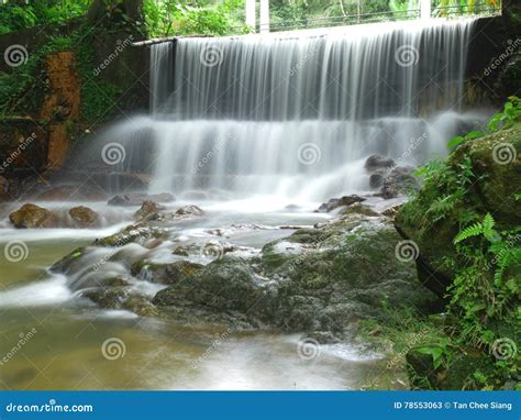 Botanical Garden Waterfall in Penang, Malaysia Stock Image - Image of ...