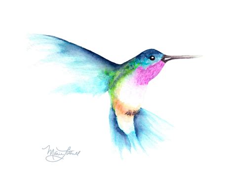 Original Watercolor Painting Hummingbird Print Bird Art - Etsy