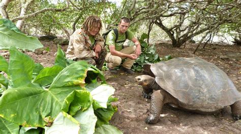 Giant Tortoise & Sea Lion Conservation in the Galapagos Islands | Projects Abroad