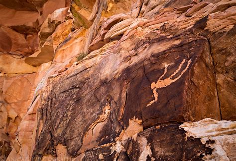 Gold Butte National Monument Petroglyphs // ADVENTR.co