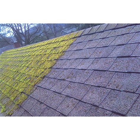 Best Moss Killer | Best Moss Killler for Roofs | Roof Moss Remover - Smartseal