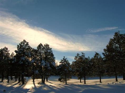 Flagstaff Images: Flagstaff Snow