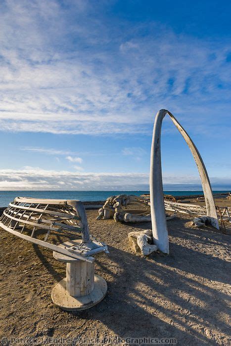 Bowhead whale jaw bone arch with wooden Umiak frames (whale hunting ...