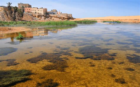 Destination Guide to Visiting Laayoune in Morocco - MarocMama