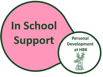 Hinchingbrooke School - In School Support