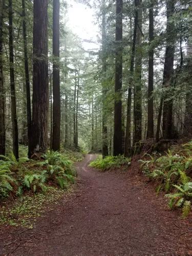 10 Best Trails and Hikes in Half Moon Bay | AllTrails