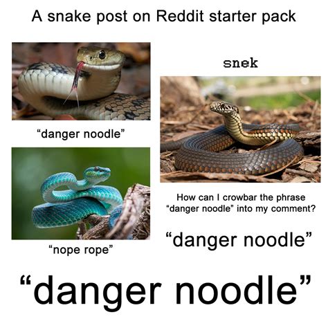 A snake post on Reddit starter pack | /r/starterpacks | Starter Packs ...