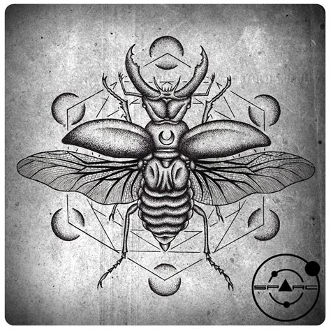 Beetle tattoo sketch | Beetle tattoo, Scarab tattoo, Bug tattoo