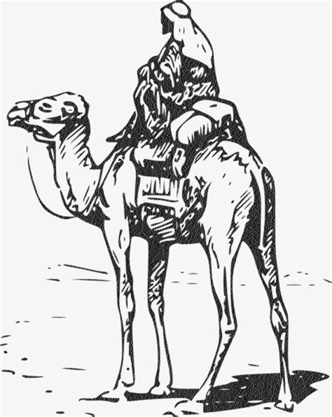 Camel Sketch Images at PaintingValley.com | Explore collection of Camel Sketch Images