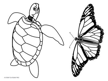 Magnetism and Animal Migration Non-Fiction Text and Easy STEM Activity