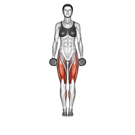 What Muscles Do Dumbbell Curtsy Lunges Work? - Home Workouts | Curtsy ...