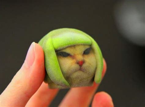 Lime Cat by kipiripi | Internet cats, Shapeways, Cats