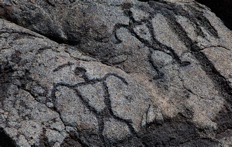 Hawaiian Petroglyphs - hawaiinuibrewing