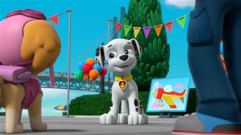 Watch PAW Patrol Season 5 Episode 26: PAW Patrol - Pups Save Ace's Birthday Surprise/Pups Save a ...