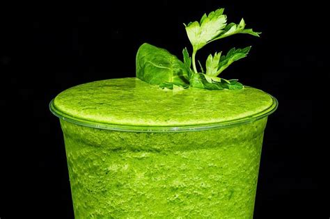 Algae-based food goes global - ScienceBlog.com