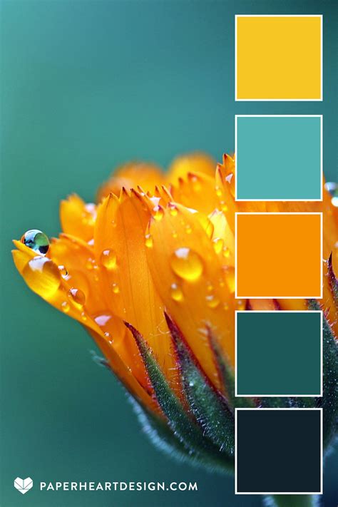 Marigold Color Scheme