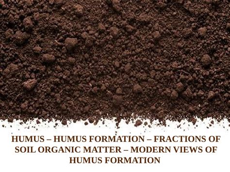 (PDF) humus formation