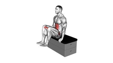 Elbow To Knee Side Plank Crunch (male) - Exercise Guide & Tips