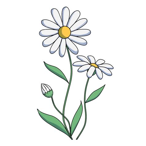 Daisy Flower Vector, Daisies, Flower, White PNG Transparent Clipart ...