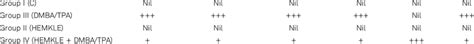 Histopathological analysis of skin/tumors of different treatment groups... | Download Scientific ...