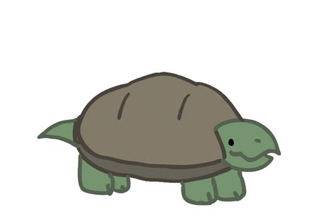Turtle Gif - GIFcen