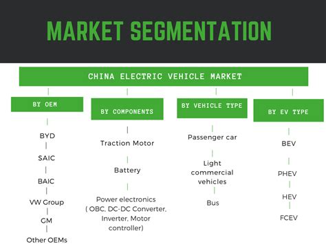 China Electric Vehicle Market 2024-2030