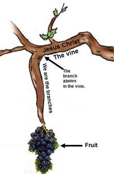 Steve Thomason's illustration of the True Vine and the branch from John 15. Visual for as the ...