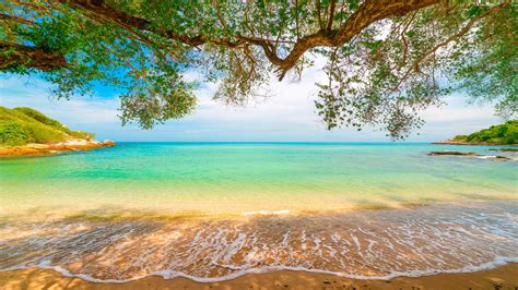 Tropical Sand Beach Lagoon Coastline Sea Waves Turquoise Water Trees Willow Overhanged Horizon ...