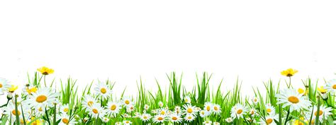 Download Svg Library Flower Download Icon Cute Flowers Roadside - Grass Daisy Transparent - Full ...