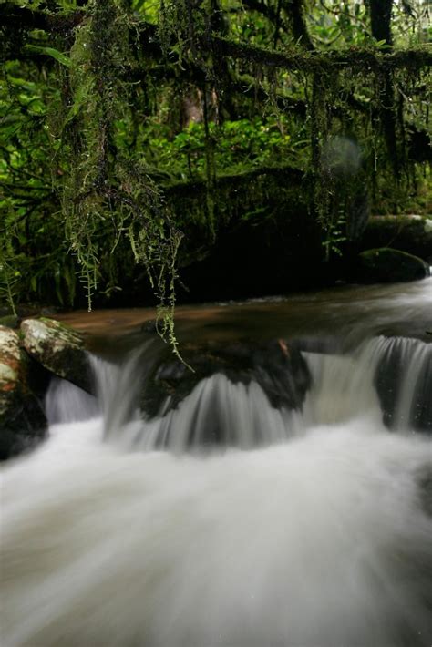 Quest of big Waterfall in Ranomafana - World Rivers