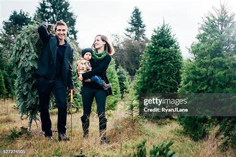 1,193 Family Christmas Tree Farm Stock Photos, High-Res Pictures, and Images - Getty Images