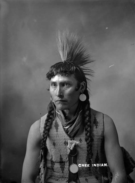 Cree Indian | North american indians, Native american peoples, Native american history