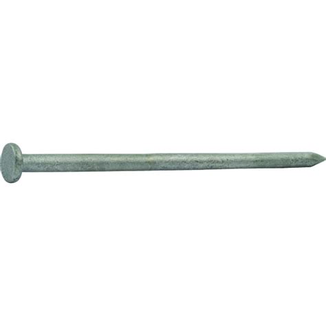 Grip-Rite 16d x 3-1/2 In. Hot Dipped Galvanized Common Nails (444 Ct., 10 Lb.) | Do it Best