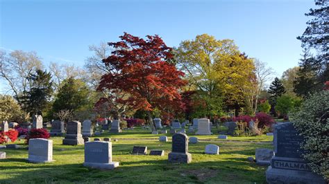 In-Ground Burial – Moravian Cemetery