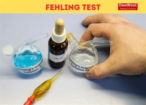 FEHLING TEST - DewWool