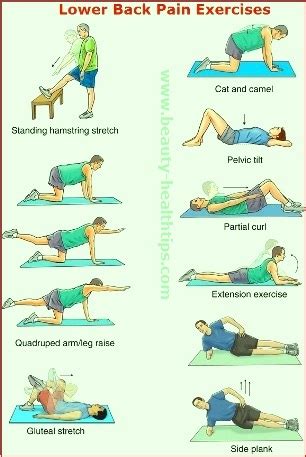 Lower Back Pain Exercises
