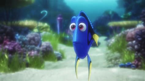 Image - Dory the Blue Tang Marine Life Interviews.jpg | Disney Wiki | FANDOM powered by Wikia