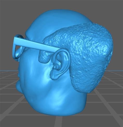 Danny Devito Face Model 3D model 3D printable | CGTrader