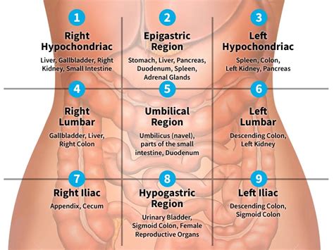 Pain Locator: Where Does it Hurt?