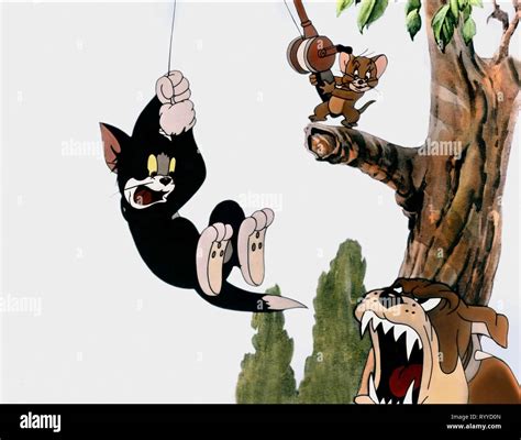 TOM,JERRY,SPIKE, TOM and JERRY, 1966 Stock Photo - Alamy