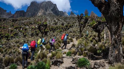 4 Days Mount Kenya Climbing Experience | Trekking & Hiking Adventure