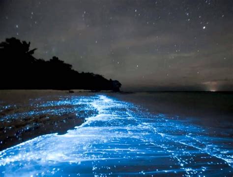 Vaadhoo Island Beach at Night, Maldives - InspirationSeek.com